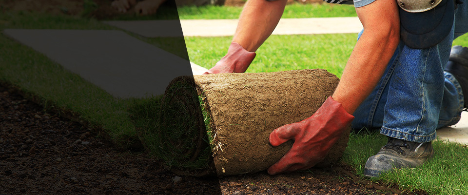 Bushkill Landscapers